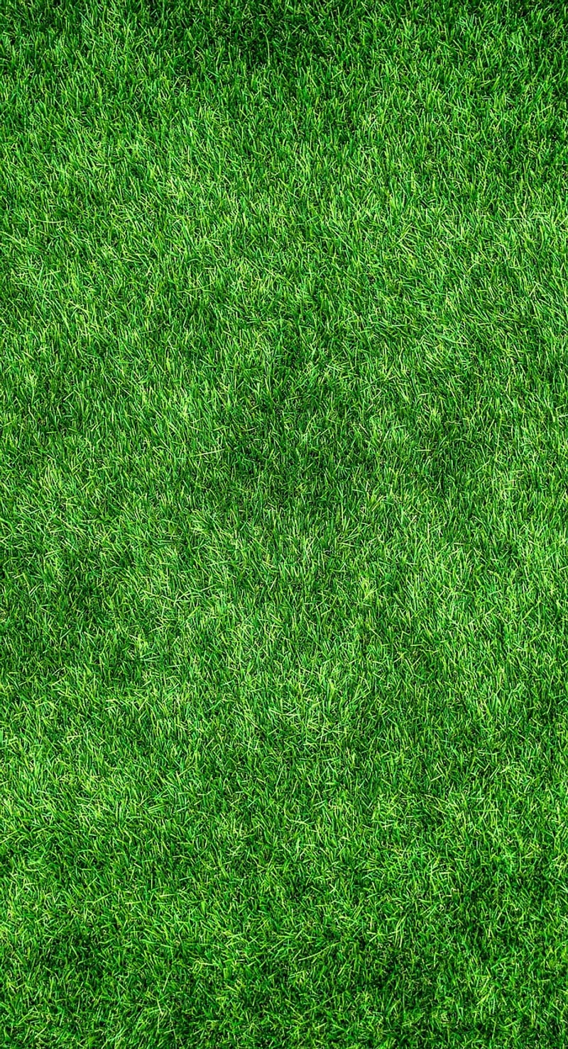 Eco-Friendly Lifestyle Ideas